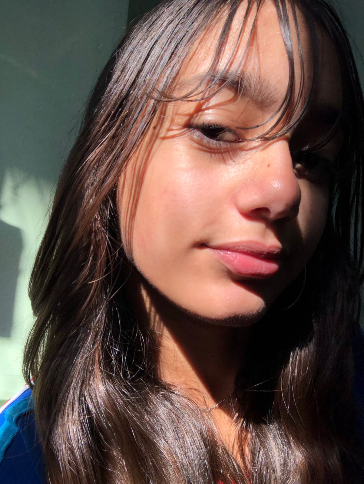 Brenda Silva Abieri